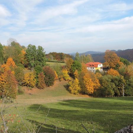 Apartmany Na Lonte Cotkytle Екстер'єр фото
